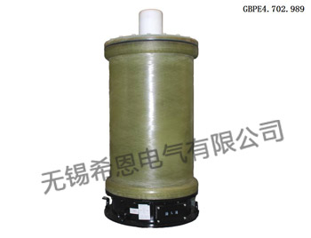 大功率脉冲榴莲视频色版