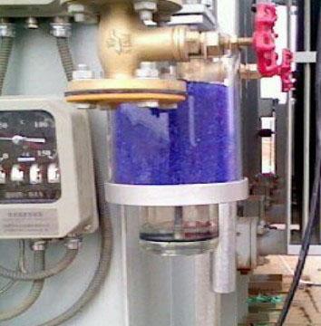 榴莲视频色版有什么特点？